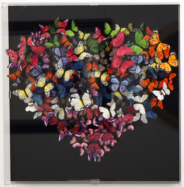 Untitled  Michael Olsen 